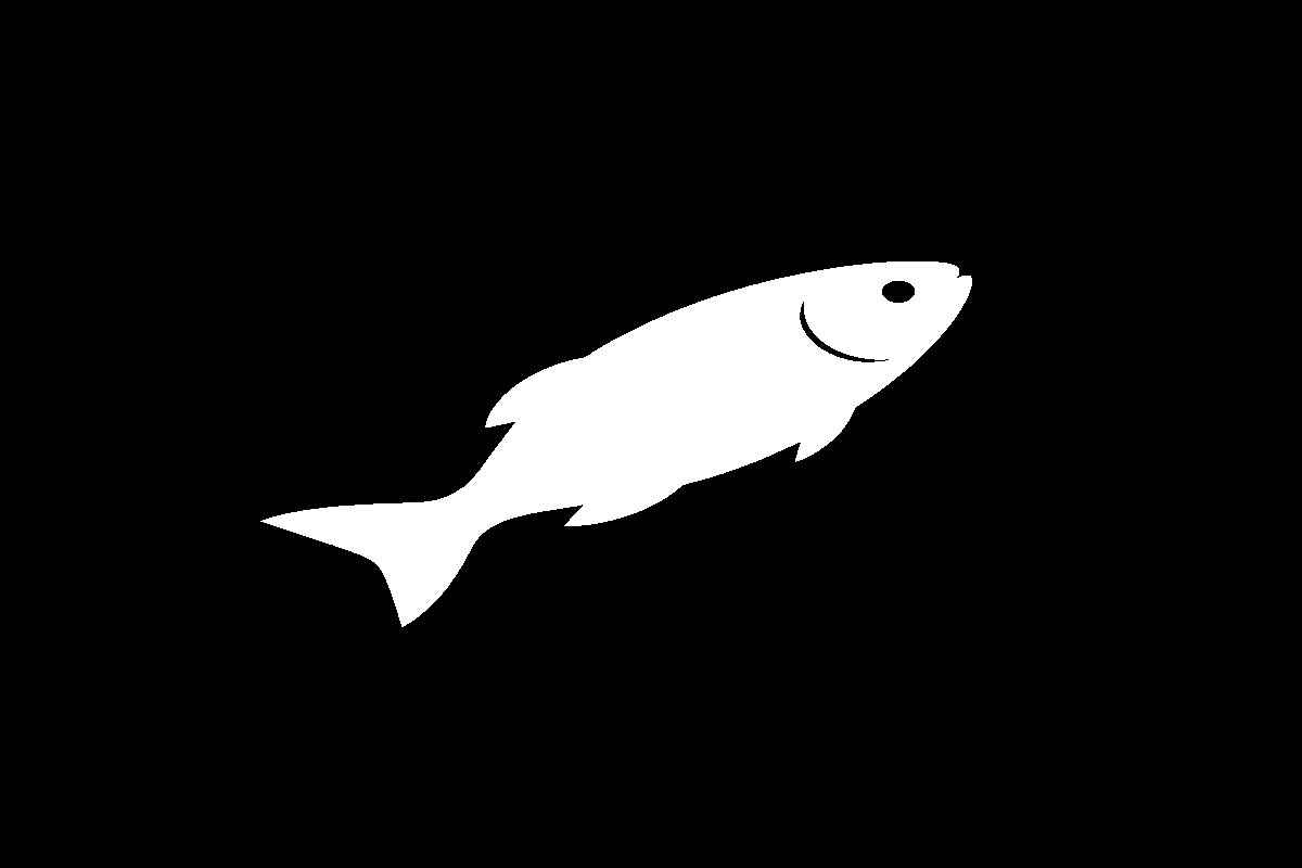 Hidden object reveal – Tiny fish