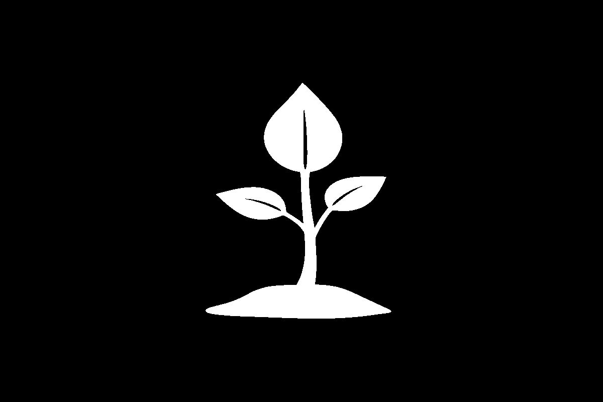 Hidden object reveal – Sprouting Seed