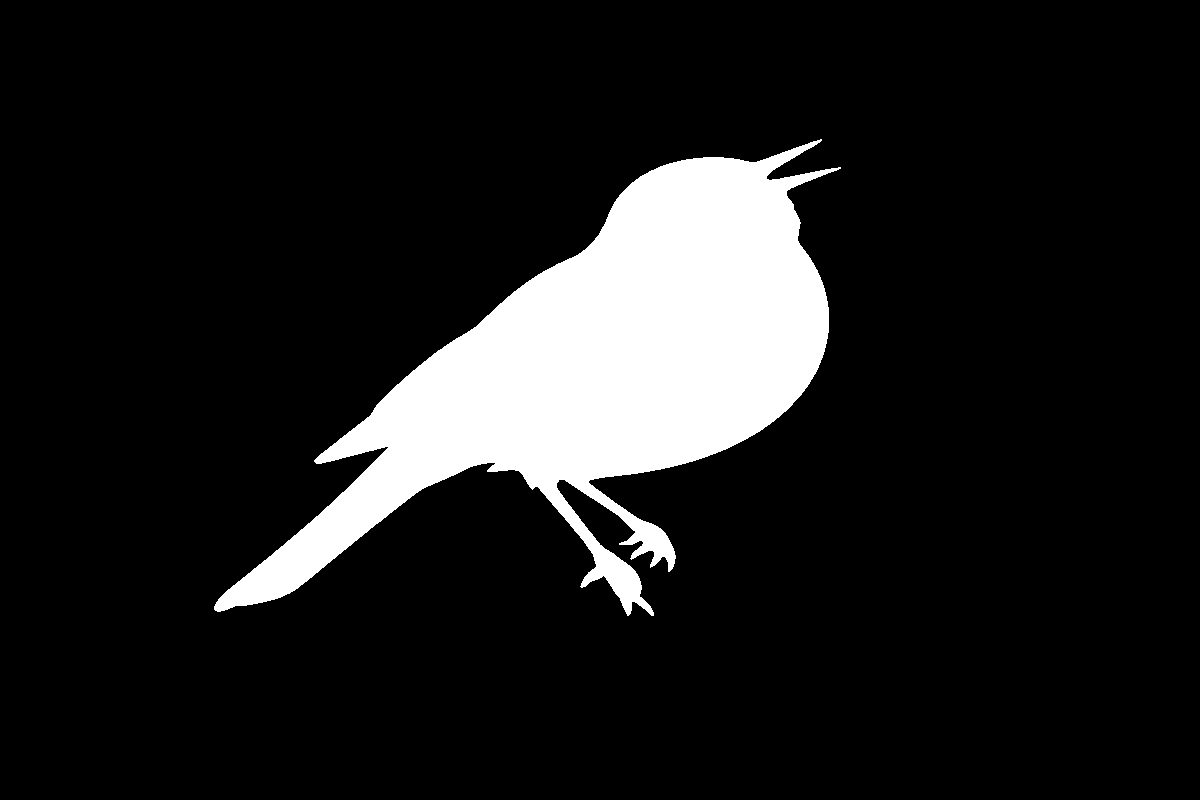 Hidden object reveal – Singing Bird