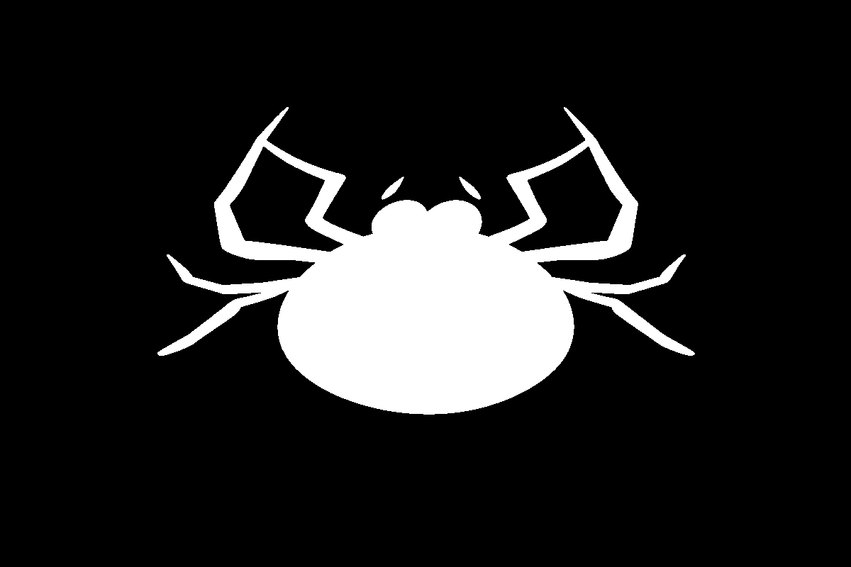 Hidden object reveal – Cartoon spider