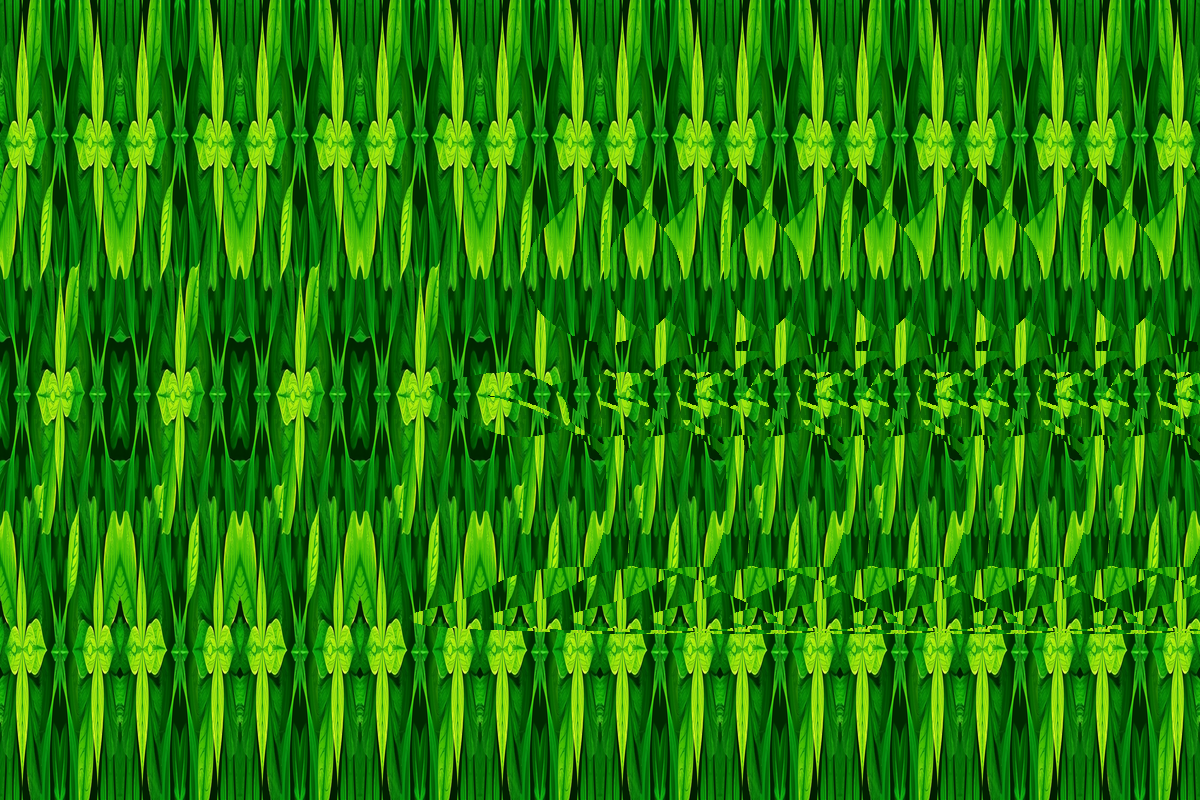 Stereogram #2 – Sprouting Seed